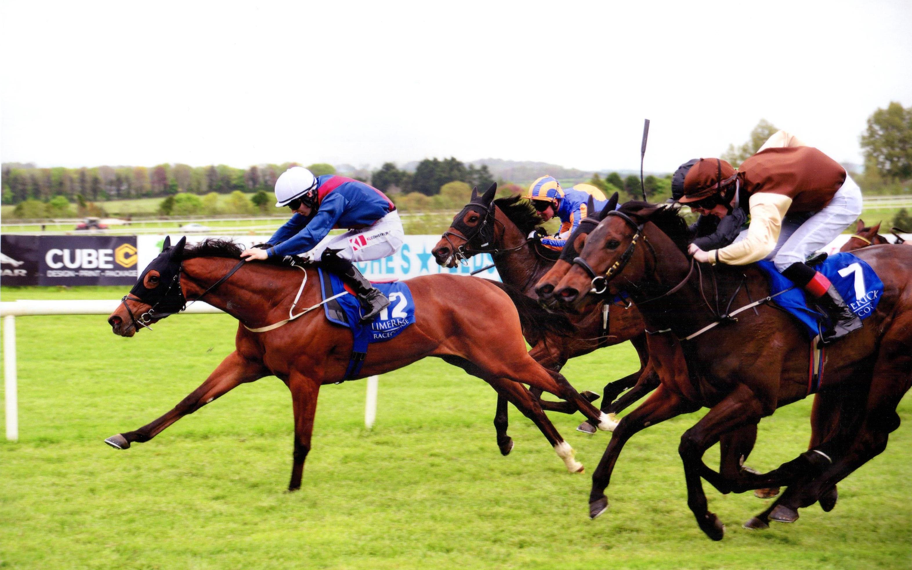 MOLLIE THE MOO winning at Limerick for owner Anthony O'Callaghan 22nd May 2017